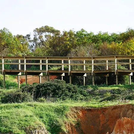 Carvi Lagos