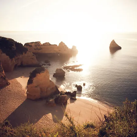 酒店 卡尔维海滩酒店
